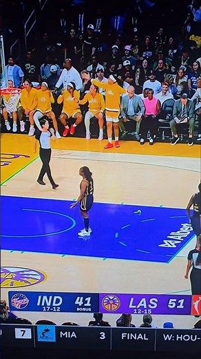 Another dildo has entered a WNBA game