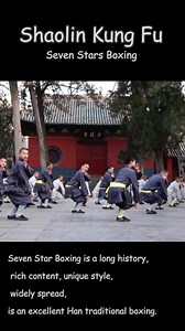 191K views · 7.8K reactions | #Shaolin_Kung_Fu #Seven_Star_Fist #Shaolin_Kung_Fu #Chinese_Shaolin_Martial_Art #Yunnan_Shaolin_Temple_China | Shaolin Kong Fu | Facebook