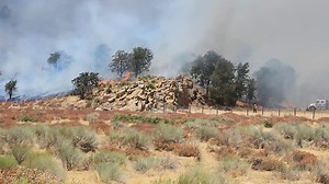 3K views | Lifesavers Wild Horse Rescue on Reels | Facebook