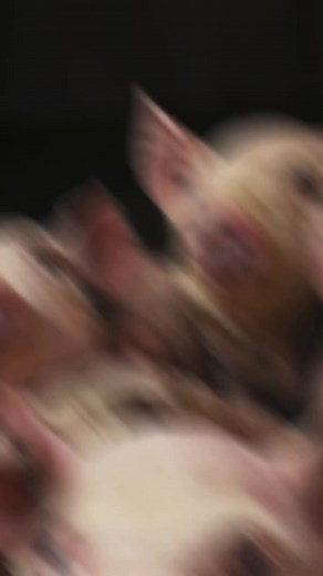 4.4K views · 88 reactions | What does the Bible say about eating pork ? #reels | Realbiblestories | Facebook