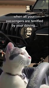 3 comments | Love the Fender Chop Smoked DRLs on this feline-driven Jeep Wrangler. The Chop Kit bracket does make the fender flare that much more stable at high speeds! | Quake LED | Facebook