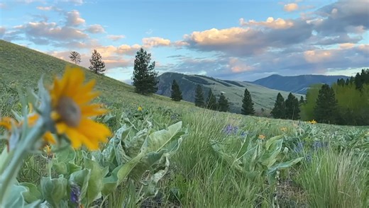 1.5K views · 111 reactions | Fantastic hiking weather lately! A few isolated showers today, but otherwise pretty nice! Temps mainly in the 60s this afternoon. Even warmer on Thursday… MORE: NBCMontana.com/weather | NBC Montana | Facebook