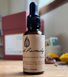Wildcrafted Chaga Tincture • Double Extracted • Spring Water • Organic Cane Alcohol - Etsy