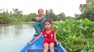 16K views · 162 shares | Miền Tây Trong Tôi - Lục Bình Quê | Nét Đẹp Miền Tây | Facebook