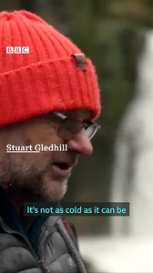 3.8K views · 33 reactions | These swimmers are braving the chill for a good cause. | BBC Yorkshire | Facebook