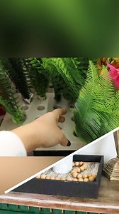 3.6K views · 45 reactions | The neutral and grassy decor is very popular at the moment! Here's how to DIY using Dollar Tree items  How do you think it turned out? Head over to my Youtube channel @lizfenwickdiy to see more Pottery Barn dupes! 珞 https://youtu.be/Mq95AmGmGvs | Liz Fenwick DIY | Facebook