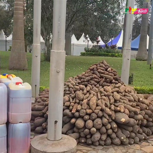 1.5K views · 45 reactions | Rural women from eight African countries are present at the first-ever African Rural Women’s Fair #SAFER, holding at the #Yaounde Multipurpose Sports Complex. CRTV Web spoke with some of the women. | CRTVweb | Facebook