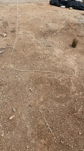 فيديوهات أنشأها Ebrahim Shehada abusanad (@ebrahim.shehada.a) باستخدام original sound - Ebrahim Shehada abusanad