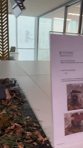 Consumers Credit Union on Reels