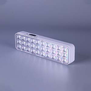 [Hot Item] 30LED Non-Maintained 6000K Housing ABS with Plug Rechargeable Battery Indoor & Outdoor Emergency LED Camping Light