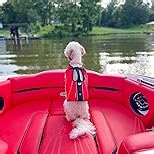 EzyDog DFD X2 Dog Life Jacket - Adjustable Swimming Safety Life Vest Preserver with Continuous Neck Flotation, Reflective Trim, & Grab Handle (4XS, Blue)