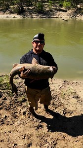 Bank fishing in the Mud‼️ #riverfishing #catfish #flatheadcatfish #bigfish #catchandrelease #fb #texas #fun #summer #2025 #viralreelschallenge | Bigrichfish