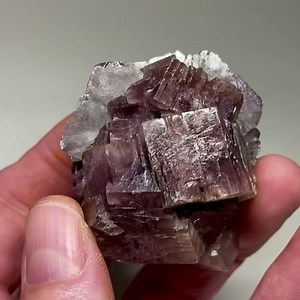 💜 Gorgeous Cluster of Well-Formed #Apatite Crystals from Kunar Mine, #Afghanistan SALE $95 delivered 👾🍇🫐 #cubicfluorite #purplefluorite #qinglongfluorite #minerals #mining #geology #healingminerals #mineralenergy #crystals #crystalenergy #cubicfluorite #mineralhealing #minerals #mining #hunanfluorite #mineralenergy #bluefluorite #shaoguan #healingenergy #healingcrystals #crystalhealing #energyhealing #minerals #geology #mining #gemporn #chloritephantomquartz #chloritephantoms #quartzcrystal 