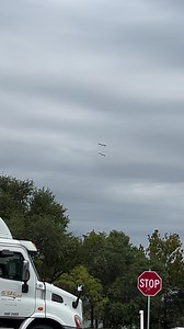 23 reactions | The 40th Annual Pelican Festival has been blessed by these two beauties! | Grand Lake Oklahoma | Facebook