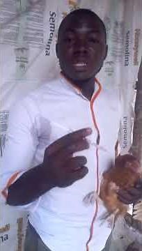 Comment réussir une injection en intramusculaire Ports