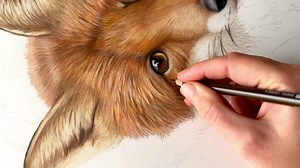 🦊 🧡 | Jess Fox Artist