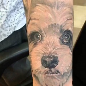 #pup #portraits by Jef @jkopp66 #denver #colorado #denvertattoo #thinktattoo #darkartists #portraittattoo #coloradical #denverart | Think Tank Tattoo