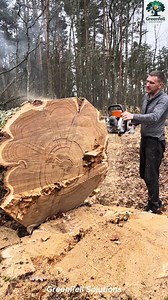 61K views · 205 reactions | Hoe to Cut a Big Tree | GreenFell Solutions | Facebook