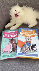 69K views · 8.8K reactions | 2022 was a big year.  Rescued lots of...