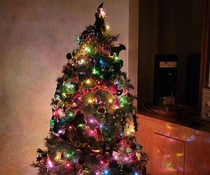 Making Your Christmas Smarter With Phidgets