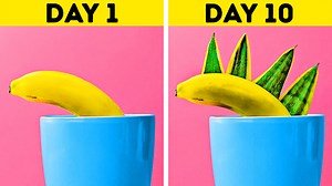 76K views · 624 reactions | Genius gardening hacks that actually work.  | 5-Minute Crafts Teens | Facebook