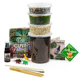 [Hot Item] Cute Farms DIY Succulent Terrarium Kit for Adults and Kids Moss Vermiculite Soil Pebbles Plant Food Finishing Tools Build and Care Guide Terrarium Starter Kit