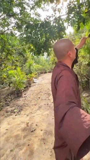 2.5M views · 99K reactions | Tâm Hiền Giác on Reels | Facebook