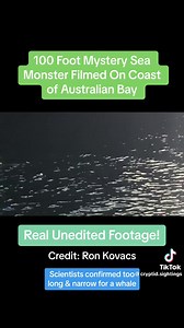 6.5K views · 46 reactions | Sea Monster in Australian Bay | Boca Chica Beach Legends | Facebook
