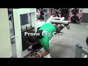 Prone Leg Curl/ Prone Leg Curl Machine