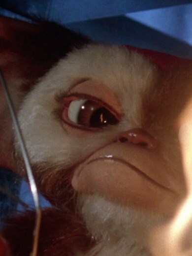 Gizmo Defeats Spider Gremlin in Epic 90s Movie Scene