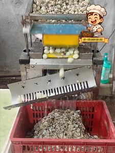 Cách bóc vỏ trứng cút nhanh hàng loạt