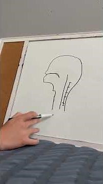 Basic Cleft Anatomy: Resource Notebook