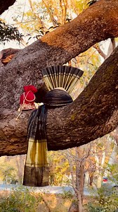 The wedding season. #groom #bride #bridegroom #luminance #wedding #weddingshoot #weddingphotography #baratday #barat | Luminance - Photography by Hamza Talat