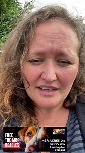 5.5K views · 248 reactions | FREE THE MBR BEAGLES!! | Camp Beagle | Facebook