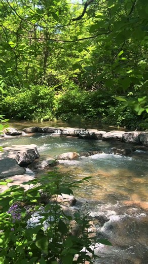 Trish ⋆˙⟡ on TikTok