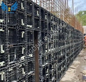 [Hot Item] Reusable Construction Structure Concrete Modular Shuttering Panel Plastic Wall and Column Formwork