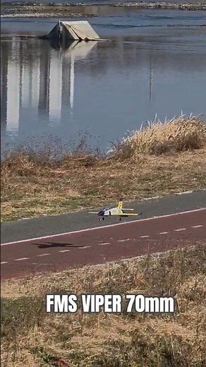 fms viper 70mm