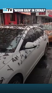 Bizarre Video Of Cars Covered In Slimy Worm-Like Creature In China Goes Viral #worms #silkworm #ytshorts #ytfeed #china #viral Disclaimer: BTTV cannot verify the authenticity of the video | Business Today