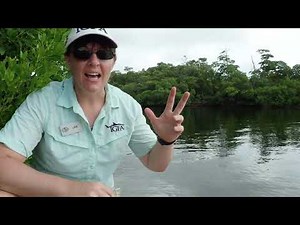 Saltwater Fishing with Circle Hooks and Shrimp