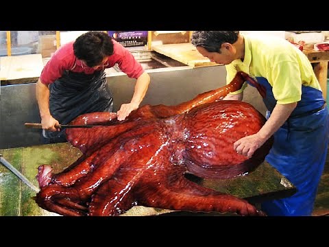 Incredible Giant Octopus Fishing - How Japan Chef Cutting Giant Octopus And Octopus Processing
