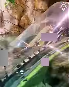 45K views · 322 reactions | Underwater escalator is every fish lover's dream!  | Pretty Hairstyles | Facebook