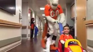 290K views · 6.4K reactions | Miles the Mascot playing around with Kaine in Greeley at North Colorado Medical Center. #SaluteToFansTour | Denver Broncos | Facebook