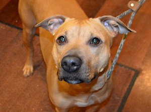 1.3K views · 42 reactions | 李 REUNITED - This beautiful girl was...