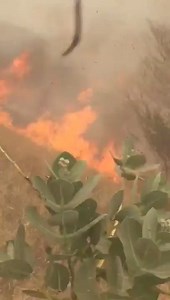 Good morning from Nigeria Army Corp of Artillery 🥰 Rocket projectiles #nigerianmilitaryworld #nigerianmilitarycruise #military #NDA #nigeriaarmedforces #artilleryshells #armour #infantrylife | Nigerian Military World