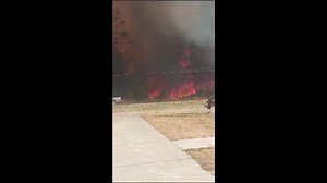 Лесной пожар в Пуэрто-Монт (Чили, 13.02.2024).