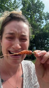 My Shayla. | when to harvest carrots