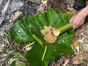 96K views · 1.5K reactions | Móc cua chưa bao giờ là khó đi rừng chịu khó là có cái ăn | Thánh Đu Đủ | Facebook