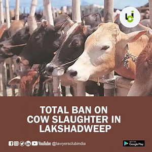 Total ban on cow slaughter in Lakshadweep. #legal #law #lawnews #legalnews #lawupdates #lawyer #advocate #judiciary #lci #lawyersclubindia | Lawyersclubindia | Facebook