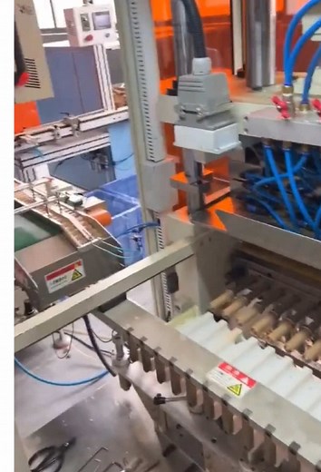 TikTok의 py_beautytubes