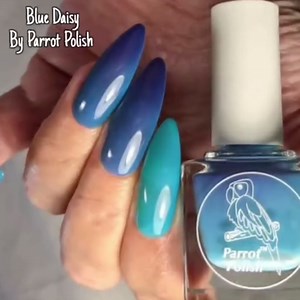 Parrot Polish Color Changing Solar Nail Polish, Teal to Blue Quick Dry Lacquer, Long Lasting Two Tone Color Nail Enamel, Blue Daisy, 0.5 Fl Oz